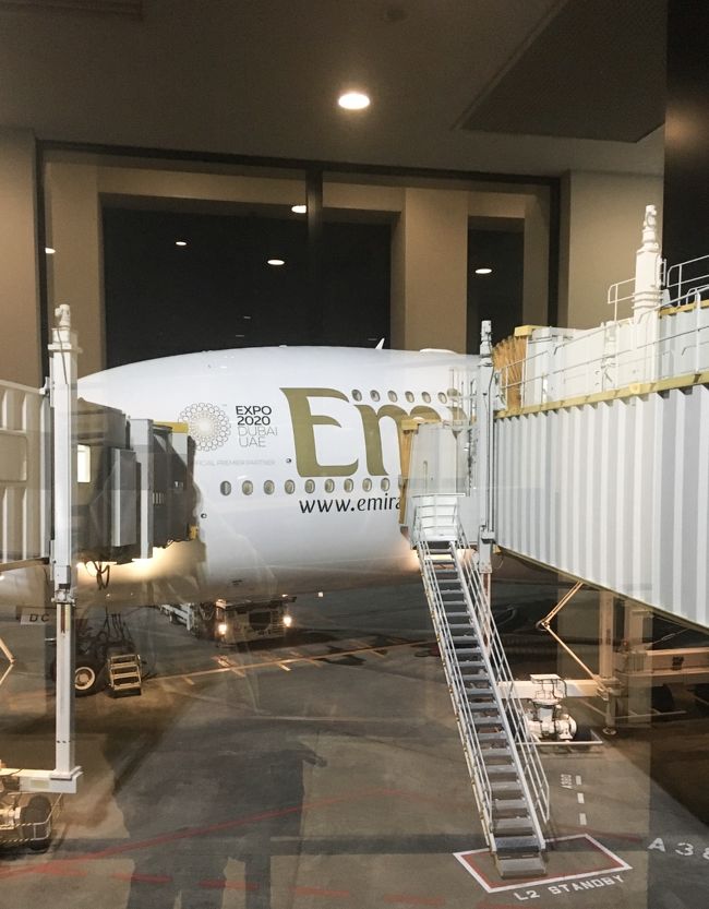 【機内販売限定品】Emirates エミレーツ航空 フライトタグ A380 emirates_products_white_1200x1