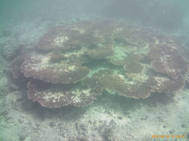 次回はここでもっとじっくり潜りたい!