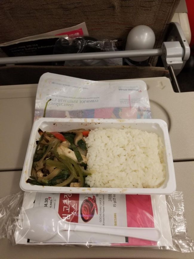 機内食はフルーツミールに変更の電話をするのを<br />忘れていたので普通食です。<br />（嫌いなものだらけなので食べられず）<br /><br />オンタイムより少しだけ早めの20:55頃ランディング<br />飛行機を降りたのは21:08だったので<br />さすがに25分のバスは無理かな～と思ってたのですが、<br />バゲージクレームに行ったらすでに荷物がいたので、<br />そのままダッシュで税関を通り、<br />WiFiを返却してギリギリ25分のバスに乗れました！！<br /><br />ということで22時20分くらいに帰宅。<br /><br />いつもとちょっと違うような、でも特に変わらないような旅も終了。<br /><br />代わり映えのしない旅行記にお付き合いくださりありがとうございました。