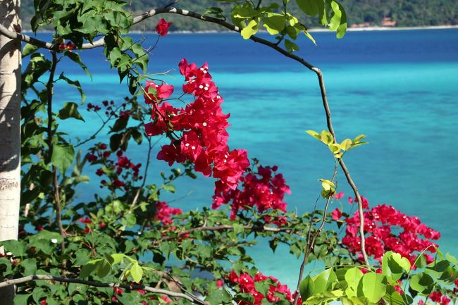 ☆Sandbar View from Mountain Resort @ Koh Lipe Thai
