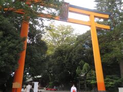 川越氷川神社
大鳥居
