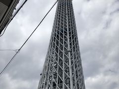 地下鉄の押上駅を地上に上がって来て見上げるとスカイツリーが見えますので迷う心配はありません。