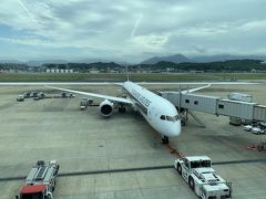 久しぶりー！！シンガポール航空！！！
私は6年ぶり♪　会いたかったよ♪
福岡からヨーロッパは乗り継ぎが必要とはいえ、ついに子連れで南回りヨーロッパを飛ぶようになるとは。だって安かったから！！