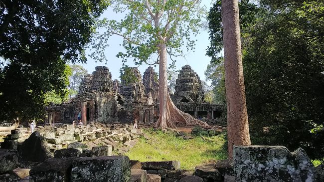 １．バンテアイ・クティ<br />遺跡を観て、感動。<br />来てみたいと思っていて、目の前にある。<br />本当に来たと実感。