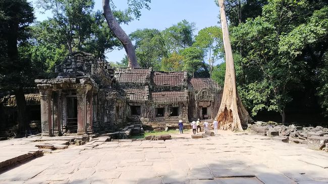 ２．タ・プローム<br />人気のある寺院。