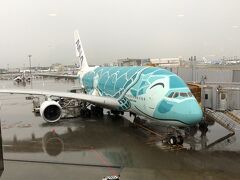 成田は生憎の雨