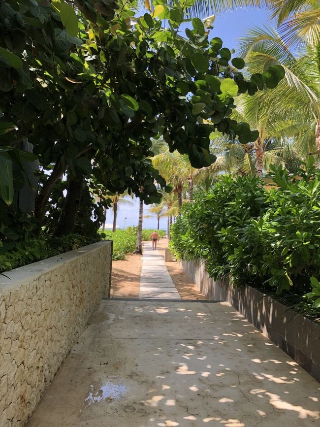 ビーチに抜ける道がかわいいです。