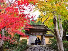 石段を上っていくと、左右に紅色と黄色に彩られた「山門」の前へ。
とっても鮮やかな色づきで、これは期待できそう！