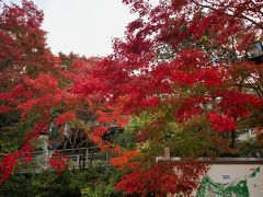 須磨離宮公園

　近道の「あじさいの道」を通って植物園へ。もみじ観賞会が開催されていた。