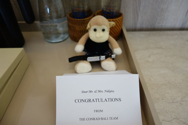 コンラッドモンキー2匹目。