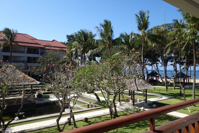 南国って感じです。