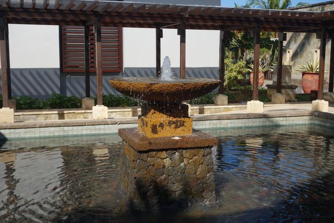 どこを撮っても絵になります。