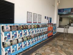 大仏は朝早すぎて上がれず。
もともとハートスートラが目当てだったので、大仏は横目で拝んでひたすら先へ。
茶園餐廳はもうやってないのですね。
廃墟みたいだった・・・。

ハートスートラでのんびりした後、しばし休憩。
ほんと時間早すぎて店もほぼやってなかった＾＾；

写真はケーブルカー乗り場にあったガチャガチャ（カプセルトイというのか？）
日本の空港とかでも最近よく見ますよね。