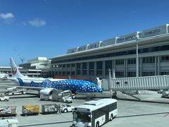 沖縄・那覇空港国内線旅客ターミナル

26番ゲートに到着しました。
11:39にドアオープン。
JL907便の那覇空港への到着予定時間は11:35着でしたので、
ほぼ定刻通りでした (゜∇^d)!!