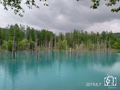 そしていよいよ、前回の冬のリベンジ…
”青い池”です

あいにくの曇り空で、水の色が今一つきれいに映りませんが…