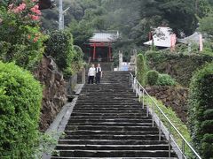 四国八十八箇所　第41番札所 稲荷山 護国院 龍光寺
(愛媛 2箇寺目)
http://www.88shikokuhenro.jp/41ryukoji/

宇和島から龍光寺へは約10㎞、、
お寺の近くまでは15分で着いたのですが、、

道路から石の鳥居をくぐり、、　民家の並らぶ車のすれ違い不可の参道を進み、、
50段ほどの階段を上り、　狛犬のある境内へ、、

＜　鳥居に狛犬？？　”お寺・札所巡り”だよね、、　＞

寺伝によると 弘法大師さまが巡錫(この地を訪れた)時に白髪の老人と出会い、、
大師さまはその言動から白髪の老人が稲荷明神の化身と悟り、
稲荷明神像を刻んで安置したのだそうです、、
なので正式名は「稲荷山 護国院 龍光寺」
創建時から神仏習合の稲荷寺、、

駐車場：石の鳥居近くに２、３台 & この階段の左奥にも有り
（ダンナ&義父は駐車場に車を停めてから参拝)

朝から怪しかったお天気も、、
とうとう…　ぽつり、、ぽつり、、雨粒が落ち始めました、、
