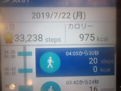 那覇空港傍のマクドにて、この日の歩数計をチェック。

朝は島田駅から静岡空港まで歩き、沖縄に着いてからも結構歩いたので、この日の歩数は33000歩を超えてしまいました。