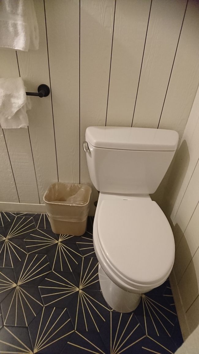 トイレはシャワーの横にありました！