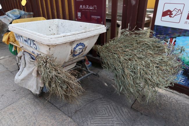 自然の笹をそのまま使う箒、この方が掃きやすいとか。