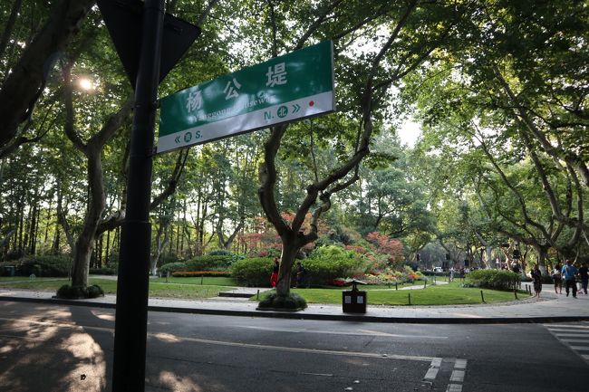 緑の多い街だ。