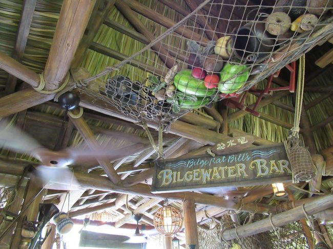 中はこんな感じ。<br /><br />とにかくすごかった！<br />乗るまではかなり不安でしたが、酔うとかも一切なくただ楽しい。<br />日本で乗れるのはいつになることやら…。