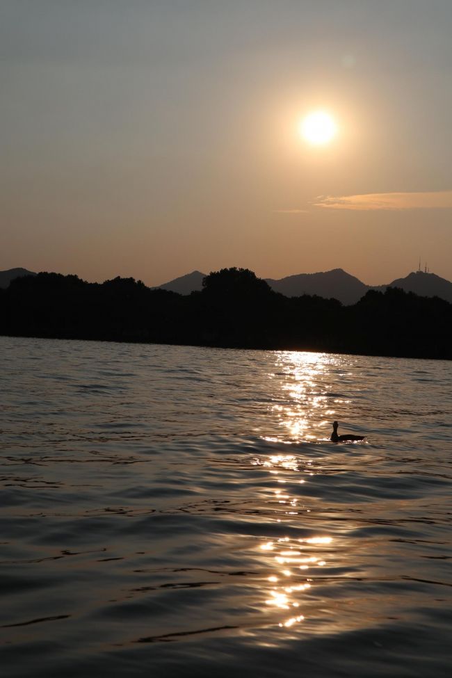 鴨が船に近づいてきたが、餌がもらえないとわかると、さっさと遠ざかってしまった。