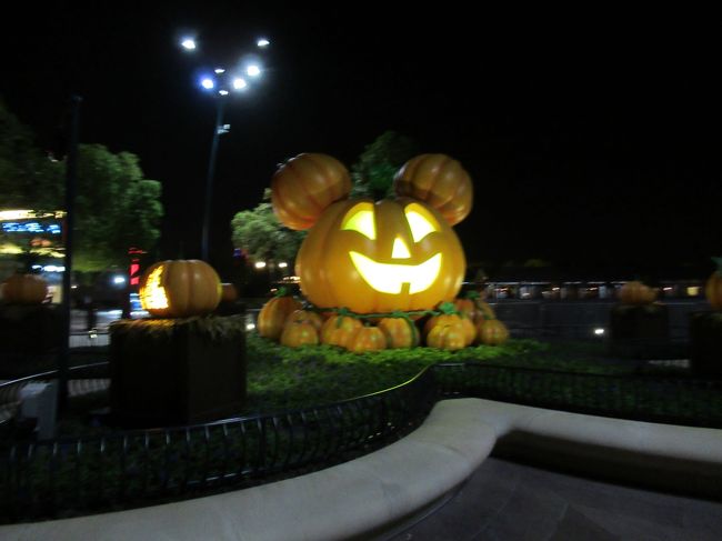 ディズニータウンのショップでも買い物をして１０時すぎにホテルに戻りました。<br /><br />長い一日ありがとうございました。