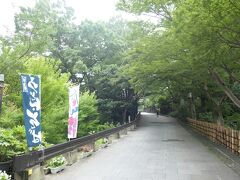 白衣大観音の場所まで歩きます。