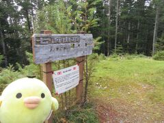 標高1983メートル。七面山の山頂です。
景色は全然開けないけど。広場になっているから
弁当休憩等には最適かも。
ただ、夏はハエとかがうっとうしくて長居する気になれないかも。

このあと下山します。
