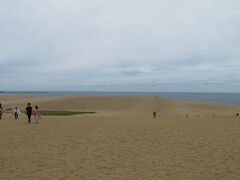 遠くから見ると平坦に見える砂丘ですが。