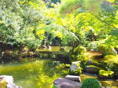 方丈庭園

長楽寺の部屋に腰を下ろして庭を眺めるつもりが、知恩院の回遊型の庭園を回ることに。