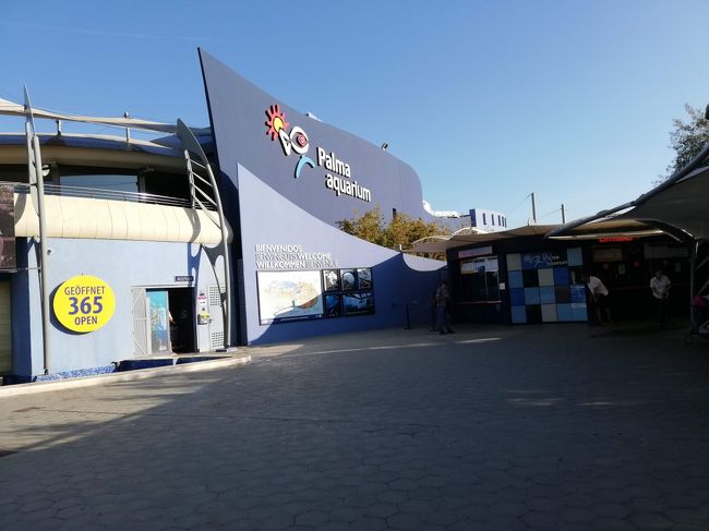 ホテルの近所の水族館（入場はしてません）