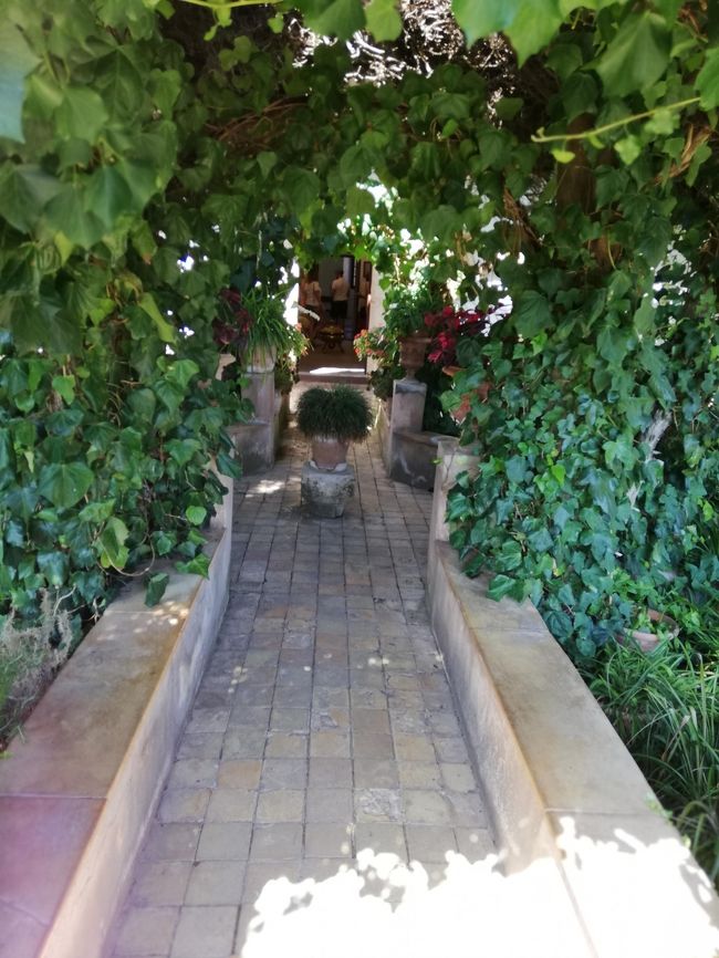 ショパンの家の中庭２