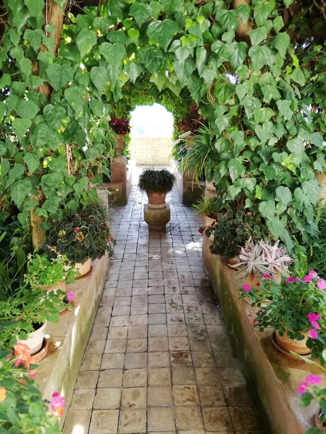 ショパンの家の中庭３