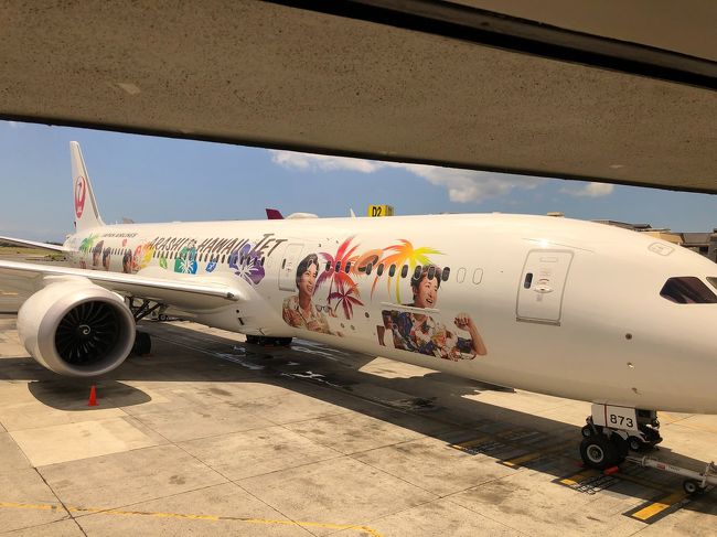 最終日は、ホテル内の和食やさん、吉家で朝ごはんを食べて空港へ。空港はまだハワイを感じられますが、搭乗ゲート前の部屋に入ると急に現実に戻る気がします。<br />帰りは嵐ジェットでした。