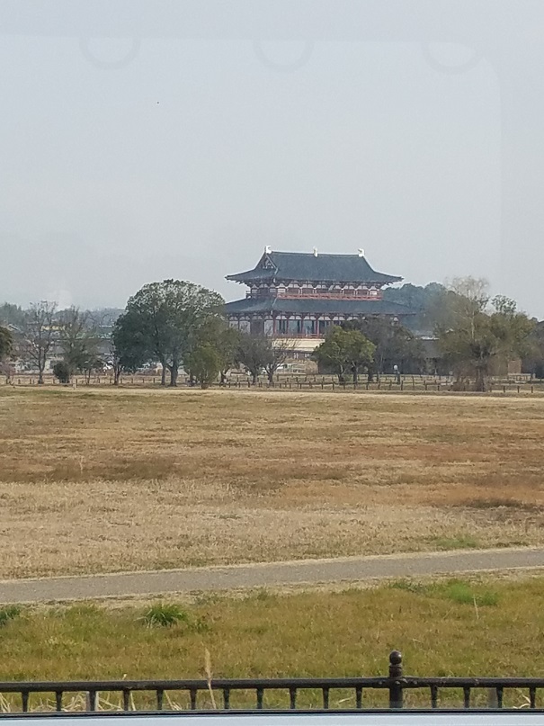 ズームしてみました