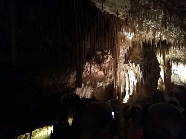 ドラゴン洞窟（内部）４