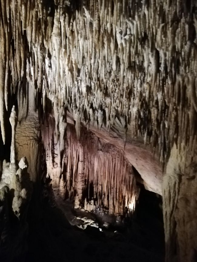 ドラゴン洞窟（内部）２０