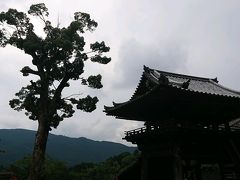 長谷寺