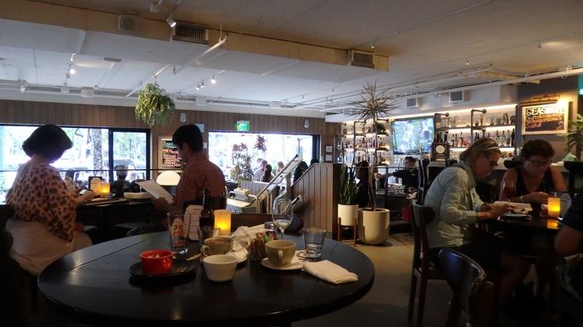 お店も早い時間から程よい混み具合。