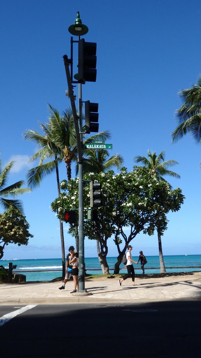 帰る日にこんなに天気なんて、、、名残惜しいです。