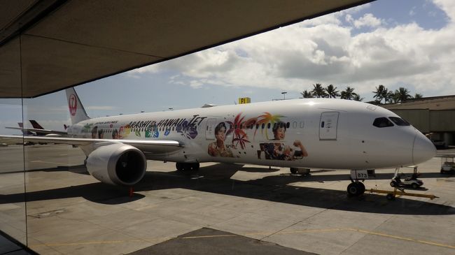 帰りも嵐ジェットでした。調べてないから知らないけど、今は嵐ジェットしか無いの？！