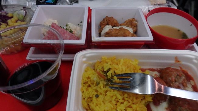 大人用機内食。２種類あって選べたような。忘れてしまった(*_*;