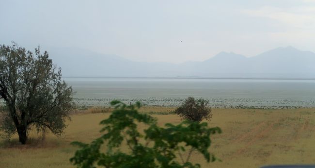 日本の航空会社は「航空機の安全が保障されないから」<br />救援機を出さなかったのに<br />トルコの航空会社は「日本人の安全が保障されないから」<br />との理由で救援機を出してくれたのです。<br /><br />日本人救済のための特別機の他に、トルコはテヘランへの定期便を<br />運航していましたが、その定期便に乗り切れない500名ほどのトルコ人は<br />陸路での帰国を余儀なくされました。<br />つまりトルコは、自国民を車で帰国させ、日本人を航空機に乗せてくれたのです。<br />なぜ遠く離れた日本のことを助けてくれたのでしょうか…<br /><br />