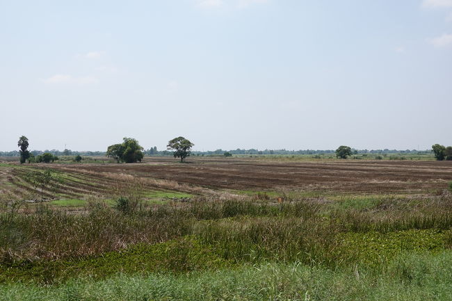 ドンムアン駅までは立客が出るほどの混雑ぶり<br />ドンムアン空港のアクセスにも使われるようでした<br />それを越えると車内も落ち着き、車窓にものどかな風景が広がります<br />列車は窓を開けたまま爆走！<br />ホコリで目が痛い！