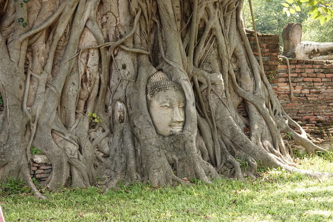 この仏像は超有名ですね<br />アンコールワット辺りにあるんだろうな、と思っていたらココのお寺でした<br />警備員さんがいて自撮りする場合は、この仏像の頭の位置より自分の頭を低くして撮影しなければいけません