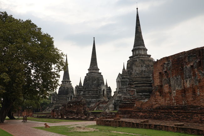 大仏のすぐ近くのお寺です<br />仏塔三連星<br />うーん雲行きが怪しくなってきました、これはヤバいかも・・・
