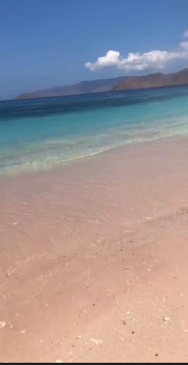 ピンクビーチ<br /><br />サンゴが砕けて　この色　<br /><br />ここ入ってすぐ　深さ2～3ｍサンゴだらけのシュノーケルポイント<br /><br />このピンクビーチ珊瑚シュノーケルの為に為に！為に！買ったGOPRO　<br />充電コード　アンドロイドと同じだろうと　思い込み　持ってこなかったら　違うかった・・・そして　この時充電切れで　水中撮影できず・・・<br />