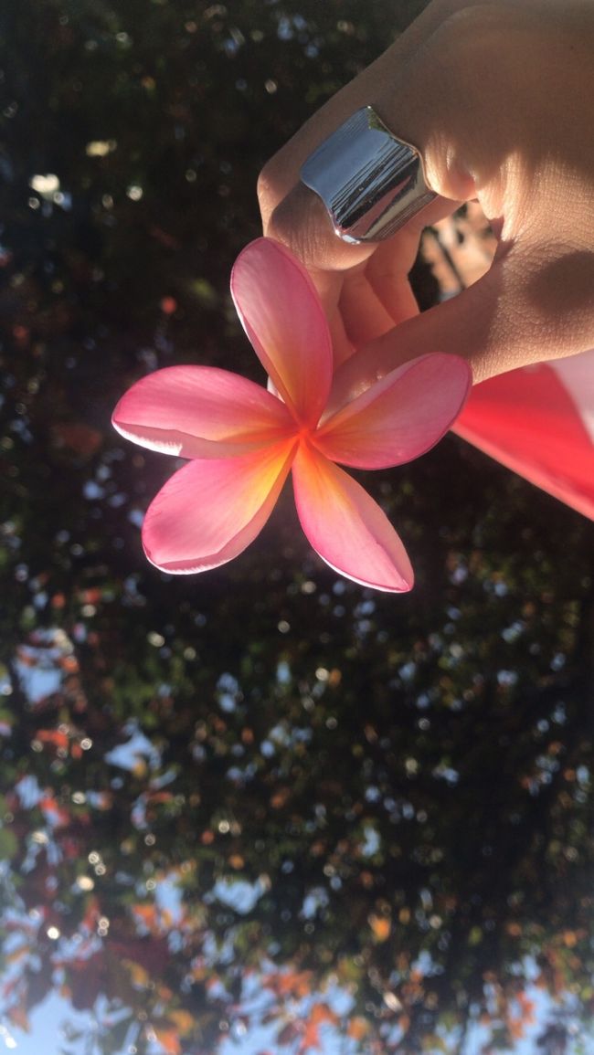 インスタな・・・