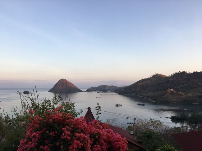 丘の上のホテル<br />めちゃ景色良かった！